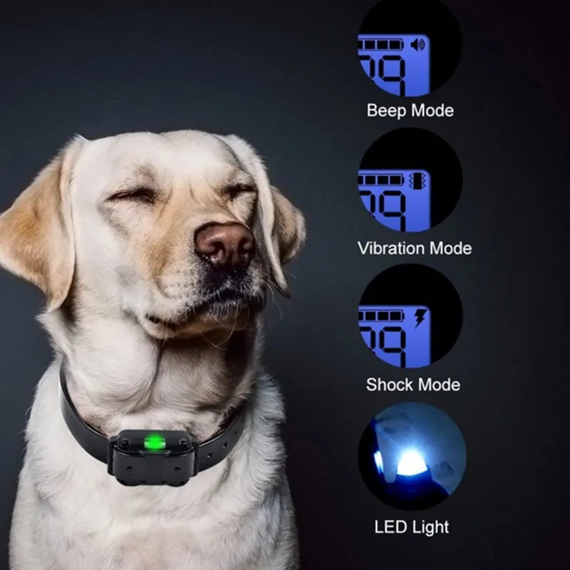 Norvo E-halsbånd for Hundetrening – Trygt, Effektivt, Vanntett – bilde 9 | Nordisk Harmoni